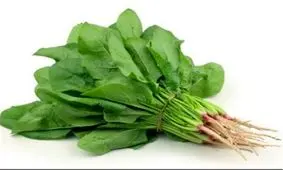 گیاهانی آهنی!