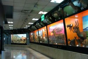اول خرداد،بازدید از موزه تنوع زیستی پردیسان رایگان است