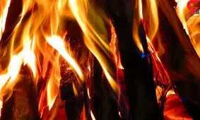 حریق فضای سبز در محدوده‌ی اتوبان تهران-کرج