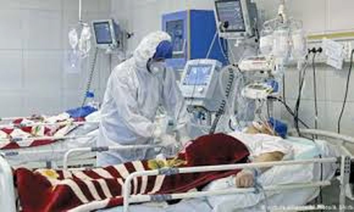 ۹۶ درصد فوتیهای کرونایی استان بوشهر افراد سالمند و میانسال هستند