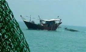 صید ۱۵۰۰ تن میگو در استان بوشهر با مشارکت ۷۵۵ شناور انجام می‌شود