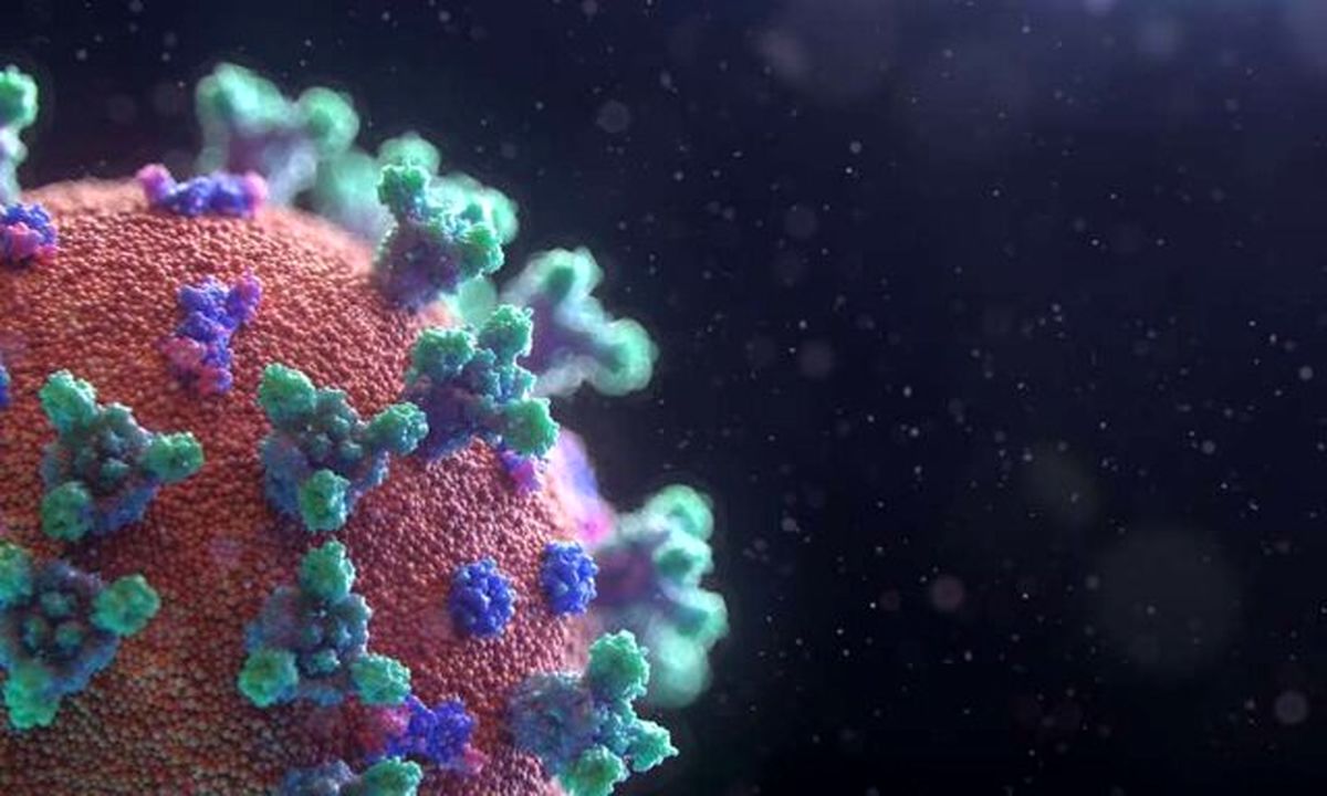 تغییرات کروناویروس باعث گمراهی سلول‌ها در تشخیص آن می‌شود