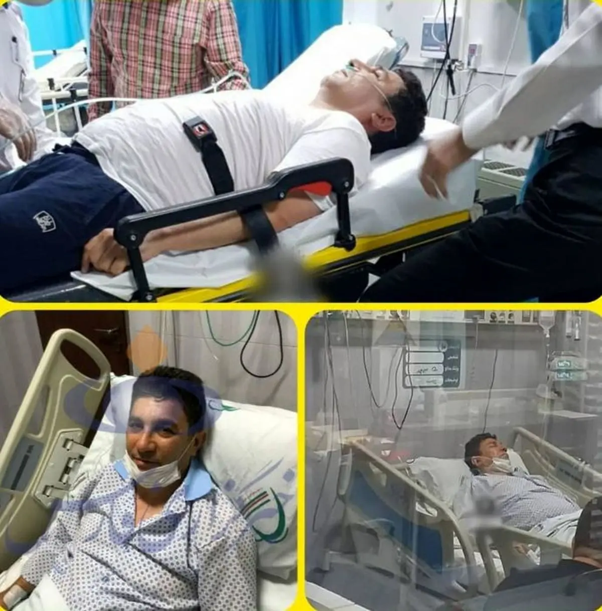 نوید محمدزاده، پیمان معادی و دیگر سلبریتی‌ها نگران سلامتی امیر قلعه‌نویی