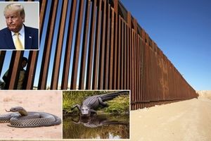 قسمتی از دیوار ترامپ در مرز با مکزیک فروریخت