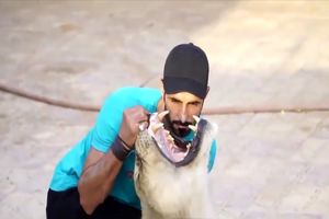 زندگی جوان عربستانی با حیوانات درنده و سمی! / ویدئو
