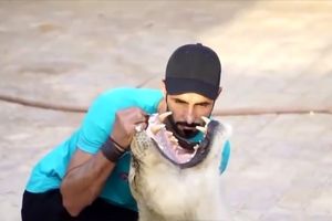 زندگی جوان عربستانی با حیوانات درنده و سمی! / ویدئو