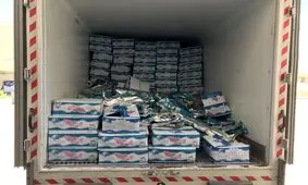 کشف ۱۰ تن کنسرو تن ماهی قاچاق در چابهار