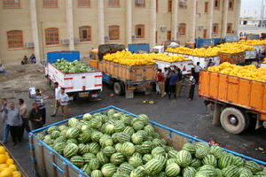 تولید سالانه 310 هزار تن محصولات کشاورزی در تبریز