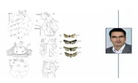 کشف و معرفی ۲ گونه جانوری جدید به دنیا