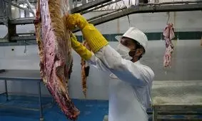 هفت کشتارگاه کردستان در عید قربان امسال آماده ذبح دام هستند