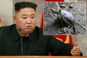 رهبر کره شمالی شهروندان کشورش را به خوردن لاک‌پشت و شکار قرقاول دعوت کرد