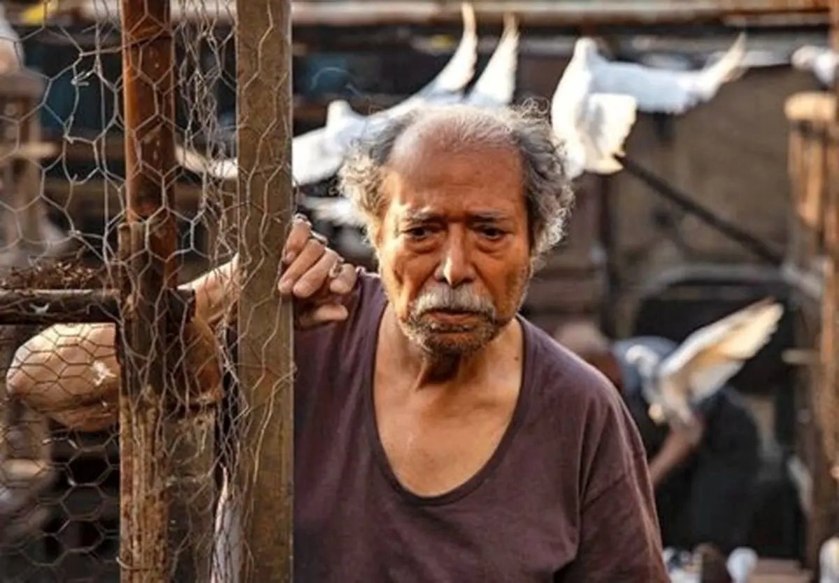 علی نصیریان به جشنواره ونیز می‌رود/ رقابت مجید مجیدی با هالیوودی‌ها