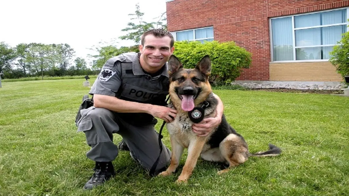 توانایی سگ‌ها برای تشخیص افراد مبتلا به ویروس کرونا