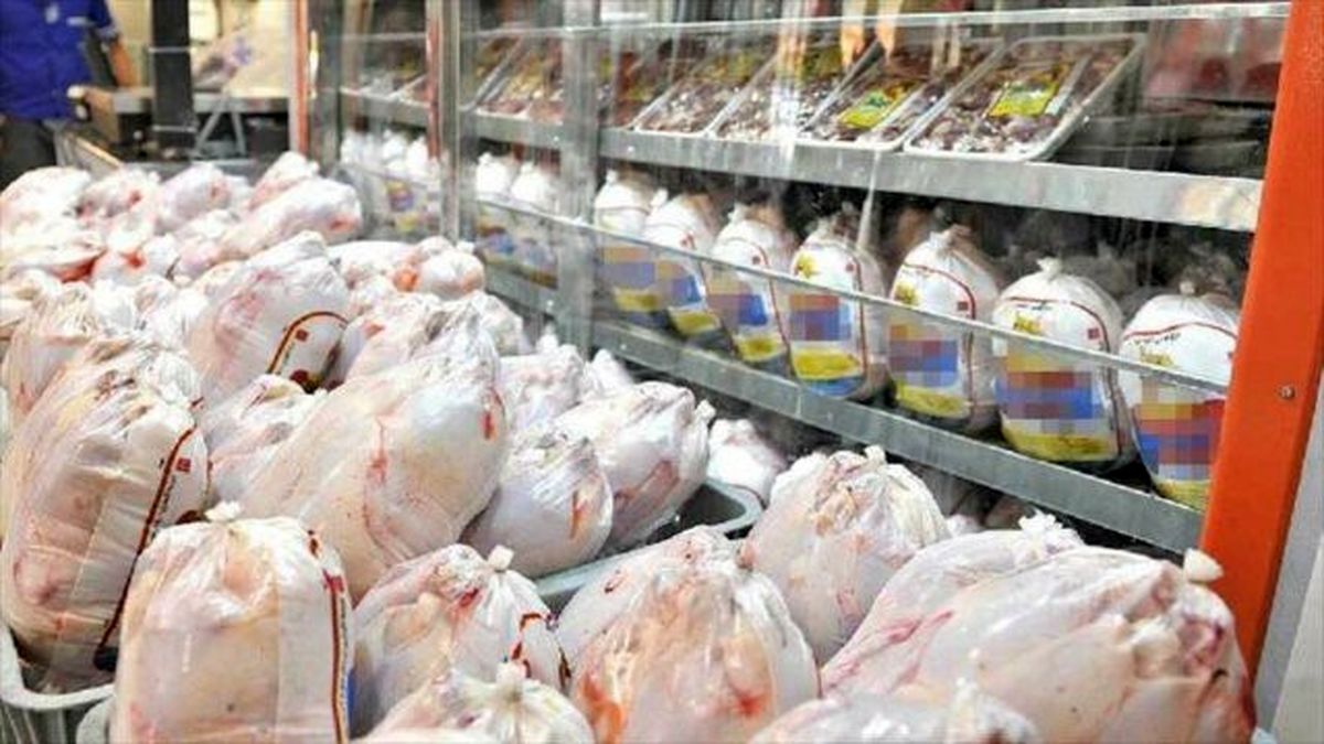 مرغ منجمد یارانه‌ای تا عید قربان در آستارا توزیع می‌شود