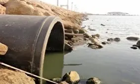 ورود آلاینده‌ها به خلیج فارس جنگل‌های حرا را تهدید می‌کند