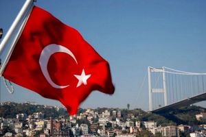 واردات از ترکیه با شرکت خدمات بازرگانی تاجر