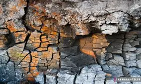 تاثیر شگفت انگیز کرونا بر لرزه‌های زمین!