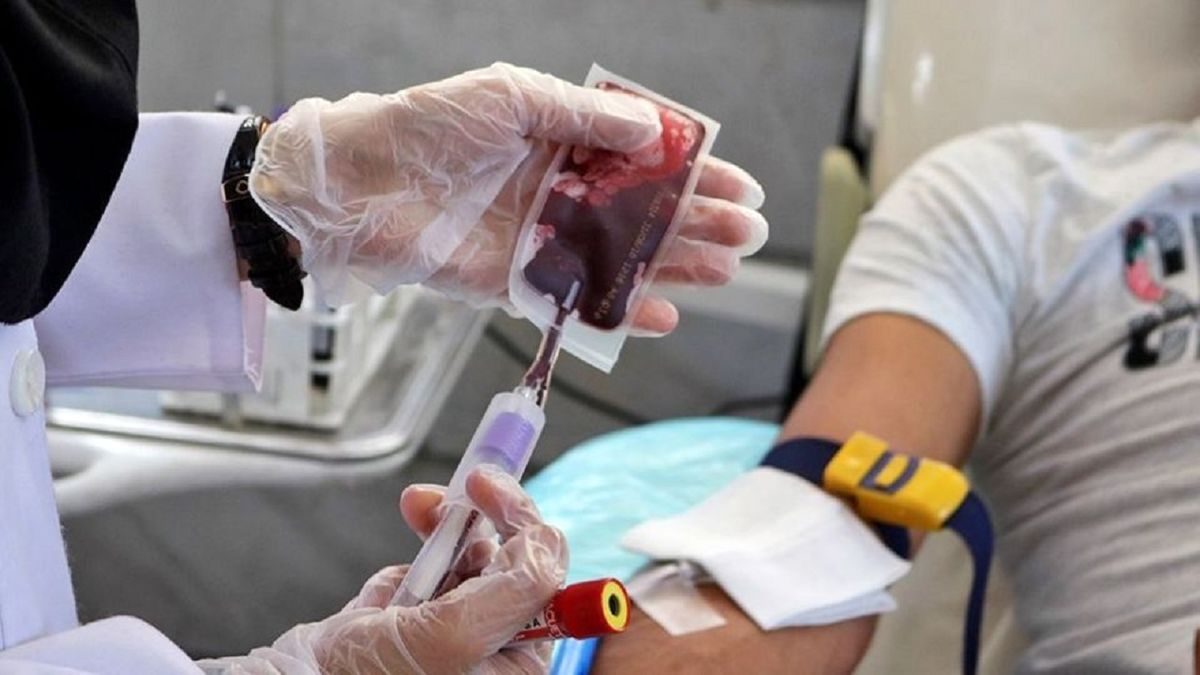 انجام ۱۷ مورد پیوندموفق با استفاده سلولهای خونی بندناف