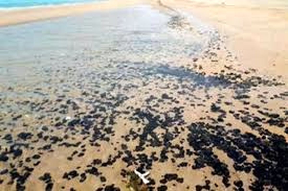 پاکسازی ساحل گناوه از آلودگی‌های نفتی/ ساحل دیلم هم پاکسازی می‌شود