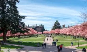 ۴ دانشگاه با بالاترین نرخ ابتلا به کرونا