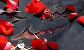 شهادت ۲ مرزبان در هنگ مرزی سردشت