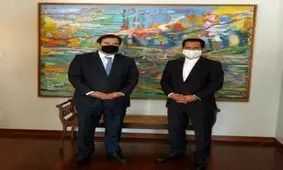 دیدار سفیر جمهوری اسلامی ایران با رئیس مجلس نمایندگان برزیل