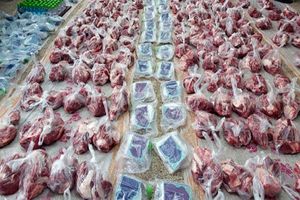 ۲۴ هزار بسته گوشت قربانی بین مددجویان استان سمنان توزیع شد
