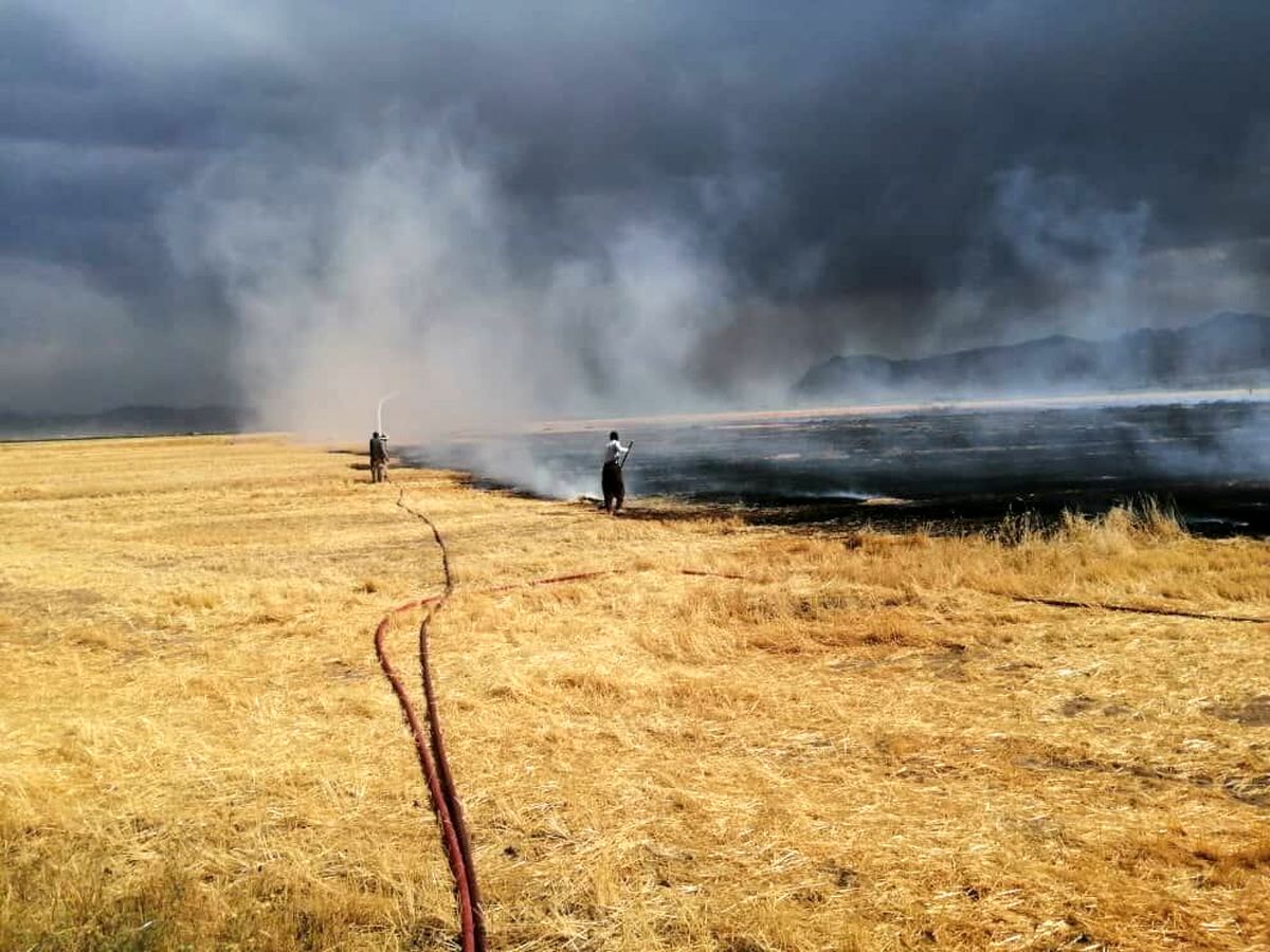 برخورد با عاملان آتش زدن بقایای محصولات کشاورزی در لرستان
