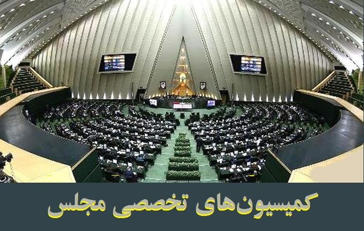 حضور ۱۱ وزیر در دستور جلسات کمیسیون‌های تخصصی مجلس