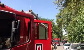 یک اتاق اداری در باغ ملی تهران دچار آتش‌سوزی شد