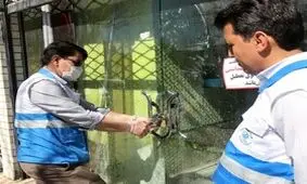 ۱۰ واحد نانوایی در شوط پلمب شد