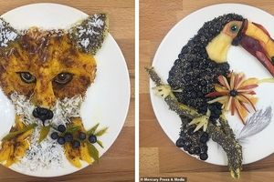 هنرنمایی مادر خلاق با بشقاب غذای پسرش