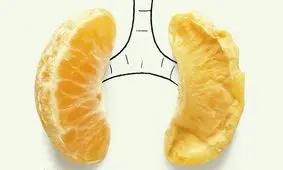 این خوراکی‌ها ریه شما را تقویت می‌کند