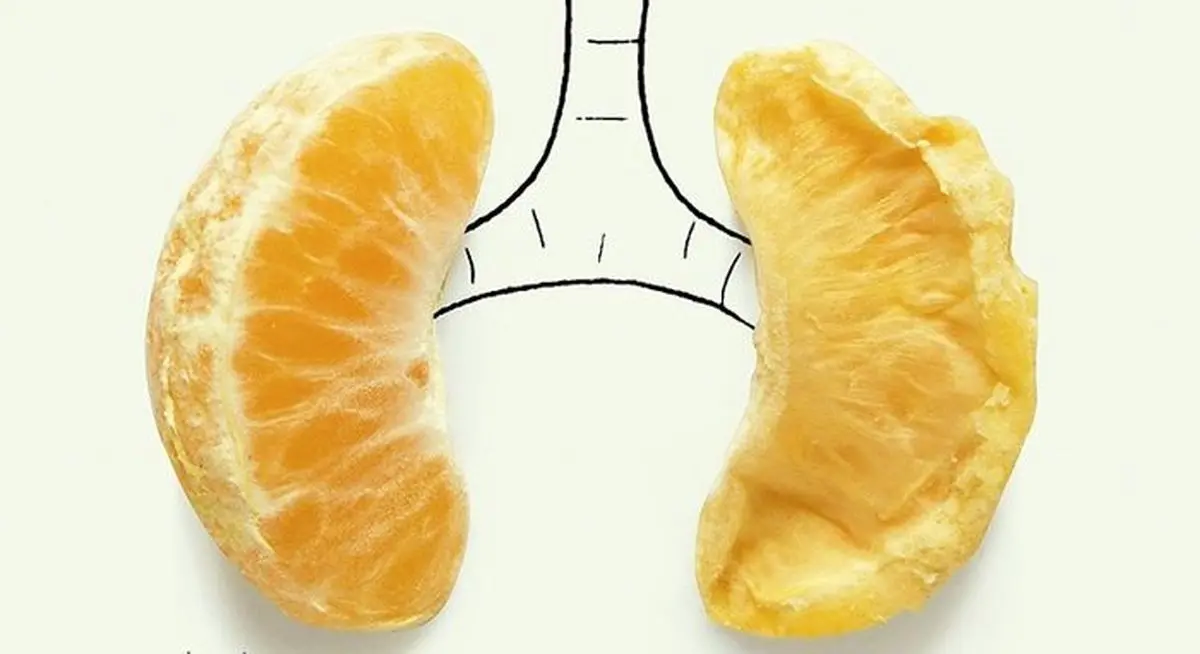 این خوراکی‌ها ریه شما را تقویت می‌کند