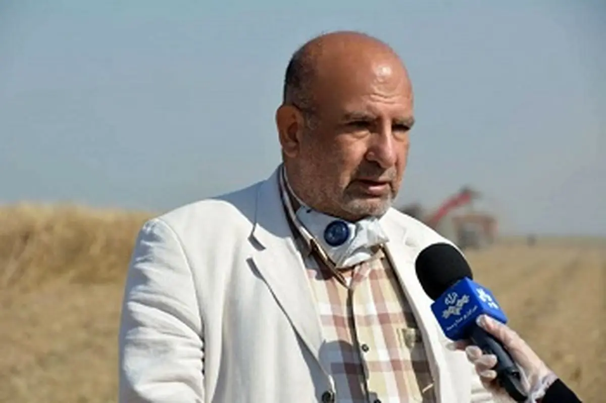 تاکید مدیرعامل شرکت توسعه نیشکر بر تسریع در روند ساخت و تجهیز کارخانه کاغذ/ دکتر ناصری: نیروهای بومی منطقه اولویت اول و اصلی جذب و استخدام در کارخانه کاغذ هستند