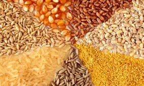 افزایش هزینه تامین کالای اساسی با انحصارطلبی صرافی بانکها