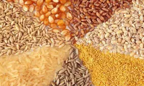 افزایش هزینه تامین کالای اساسی با انحصارطلبی صرافی بانکها