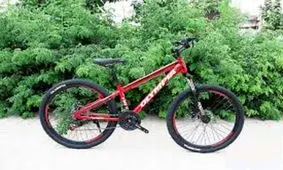 برای خرید دوچرخه چقدر پول لازم است؟