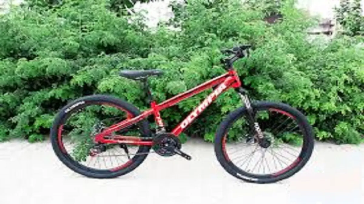برای خرید دوچرخه چقدر پول لازم است؟