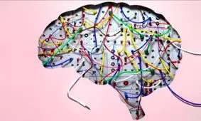 ۵ راهکار برای تقویت هوش عمومی