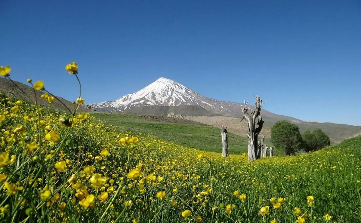 این هم عاقبت آقای کوه‌خوار!