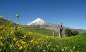 این هم عاقبت آقای کوه‌خوار!