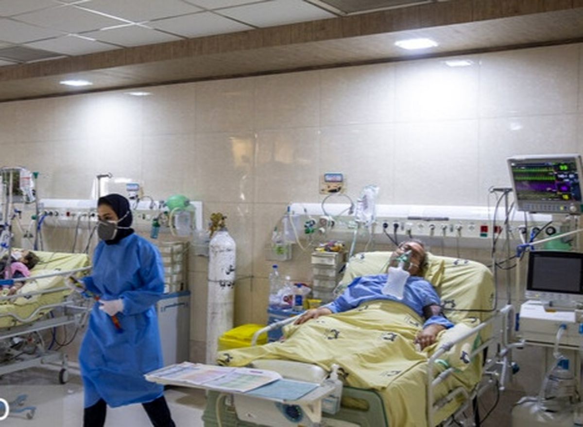 فوتی‌های کرونایی در استان بوشهر به ۳۱۸ مورد رسید