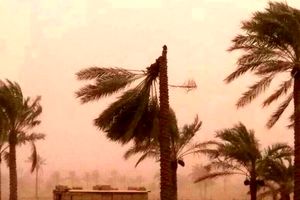 خسارت 2 میلیاردی تند باد به شهرستان دلگان/ قطع برق 8 هزار مشترک/ طوفان خسارت جانی نداشت