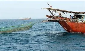 صیادن بوشهری برای صید طلای صورتی به دریا زدند
