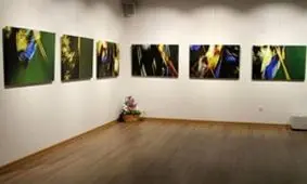 سایه انتخابات ریاست جمهوری بر گالری‌های شهر تهران