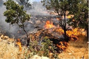آتش در جنگل‌های کوسالان سروآباد همچنان زبانه می‌کشد