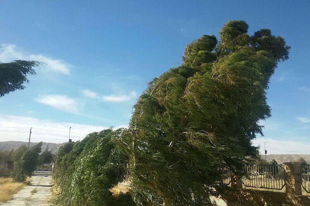 تند باد با سرعت ۱۰۸ کیلومتر بر ساعت قصرقند را درنوردید