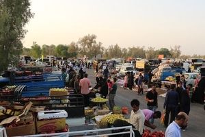 جمعه بازار بوشهر همچنان تعطیل است