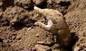 مرد مصری ۴ ماه بعد از خاکسپاری، زنده یافت شد!